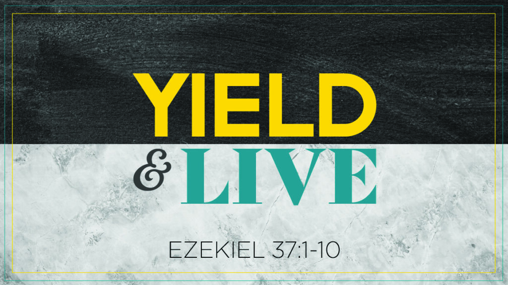Yield and Live