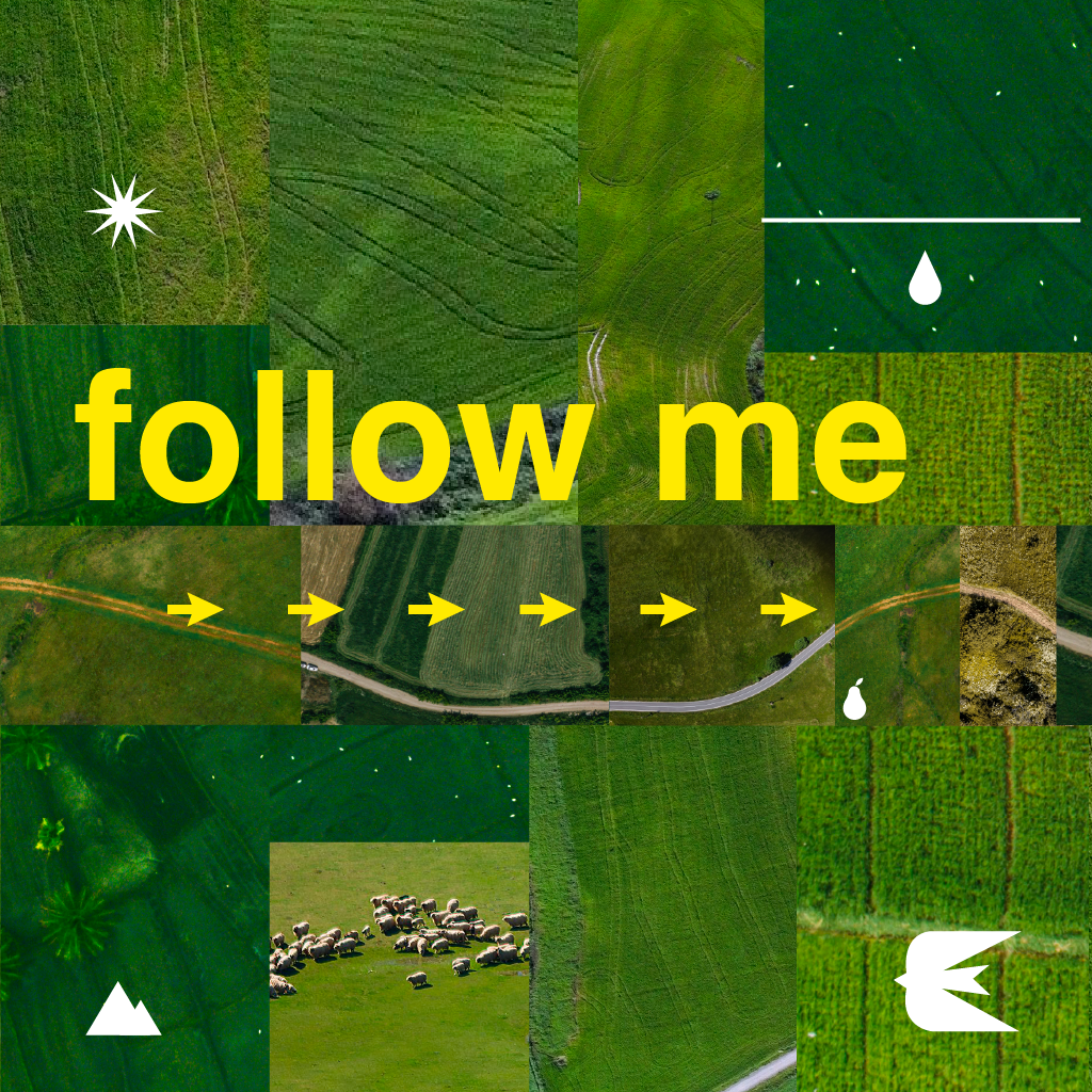 Follow Me